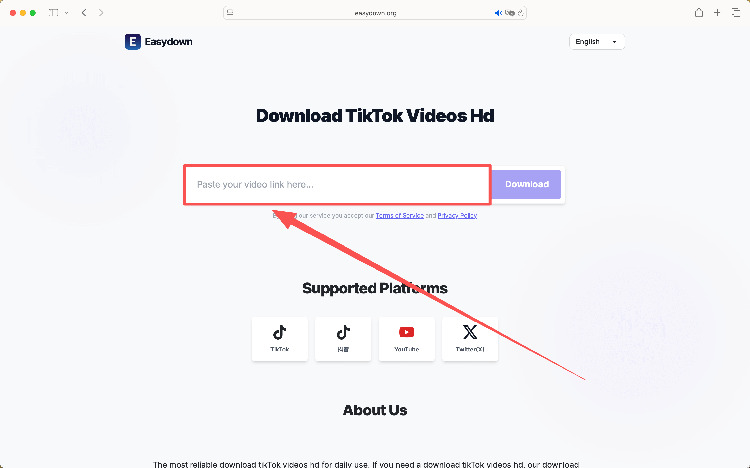 paste tiktok share link